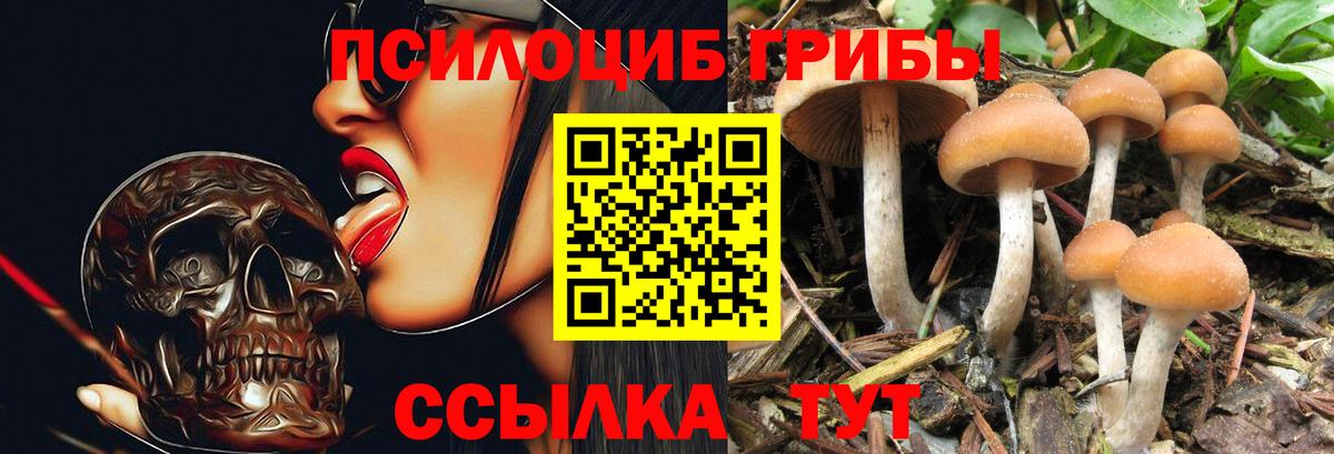 Псилоцибиновые грибы прущие грибы Асино