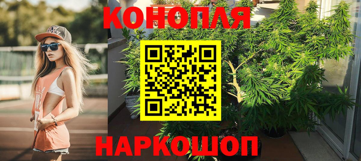 Бошки марихуана THC 21% Асино